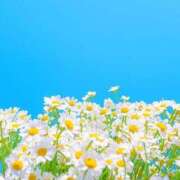 ヒメ日記 2025/07/18 22:21 投稿 新人・雫(しずく) グランドオペラ福岡