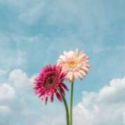 ヒメ日記 2025/07/19 10:48 投稿 新人・雫(しずく) グランドオペラ福岡