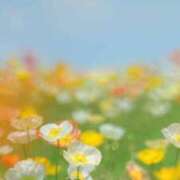 ヒメ日記 2025/07/20 10:21 投稿 新人・雫(しずく) グランドオペラ福岡