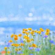 ヒメ日記 2025/07/21 10:51 投稿 新人・雫(しずく) グランドオペラ福岡