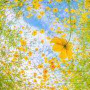 ヒメ日記 2025/07/24 08:11 投稿 新人・雫(しずく) グランドオペラ福岡