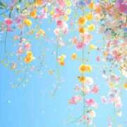 ヒメ日記 2025/07/25 10:51 投稿 新人・雫(しずく) グランドオペラ福岡