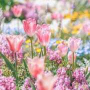 ヒメ日記 2025/07/30 13:23 投稿 新人・雫(しずく) グランドオペラ福岡