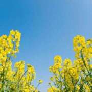 ヒメ日記 2025/07/31 08:51 投稿 新人・雫(しずく) グランドオペラ福岡