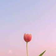 ヒメ日記 2025/08/01 10:01 投稿 新人・雫(しずく) グランドオペラ福岡