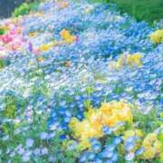 ヒメ日記 2025/08/01 20:21 投稿 新人・雫(しずく) グランドオペラ福岡