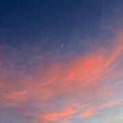 ヒメ日記 2025/08/04 23:01 投稿 新人・雫(しずく) グランドオペラ福岡