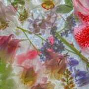 ヒメ日記 2025/04/02 11:04 投稿 新人・結愛(ゆあ) グランドオペラ福岡