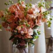 ヒメ日記 2025/04/09 11:57 投稿 新人・結愛(ゆあ) グランドオペラ福岡