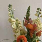 ヒメ日記 2025/04/11 16:11 投稿 新人・結愛(ゆあ) グランドオペラ福岡