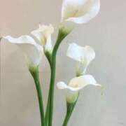 ヒメ日記 2025/04/12 14:51 投稿 新人・結愛(ゆあ) グランドオペラ福岡