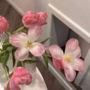 ヒメ日記 2025/04/20 13:02 投稿 新人・結愛(ゆあ) グランドオペラ福岡