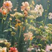 ヒメ日記 2025/04/27 08:21 投稿 新人・結愛(ゆあ) グランドオペラ福岡