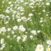 ヒメ日記 2025/04/28 10:57 投稿 新人・結愛(ゆあ) グランドオペラ福岡