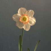 ヒメ日記 2025/06/12 17:03 投稿 新人・結愛(ゆあ) グランドオペラ福岡