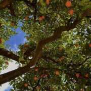 ヒメ日記 2025/06/14 09:52 投稿 新人・結愛(ゆあ) グランドオペラ福岡