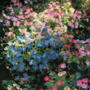 ヒメ日記 2025/06/29 10:30 投稿 新人・結愛(ゆあ) グランドオペラ福岡