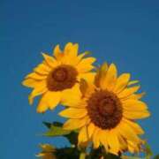 ヒメ日記 2025/07/09 21:04 投稿 新人・結愛(ゆあ) グランドオペラ福岡