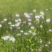 ヒメ日記 2025/07/09 23:01 投稿 新人・結愛(ゆあ) グランドオペラ福岡