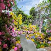 ヒメ日記 2025/07/11 19:11 投稿 新人・結愛(ゆあ) グランドオペラ福岡