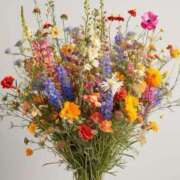 ヒメ日記 2025/07/13 11:51 投稿 新人・結愛(ゆあ) グランドオペラ福岡