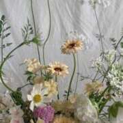 ヒメ日記 2025/07/13 14:02 投稿 新人・結愛(ゆあ) グランドオペラ福岡