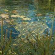 ヒメ日記 2025/07/18 11:41 投稿 新人・結愛(ゆあ) グランドオペラ福岡