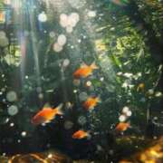 ヒメ日記 2025/07/18 11:51 投稿 新人・結愛(ゆあ) グランドオペラ福岡