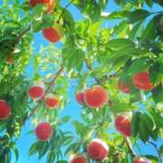 ヒメ日記 2025/07/18 14:36 投稿 新人・結愛(ゆあ) グランドオペラ福岡