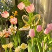 ヒメ日記 2025/07/19 23:24 投稿 新人・結愛(ゆあ) グランドオペラ福岡