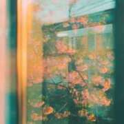 ヒメ日記 2025/07/20 17:51 投稿 新人・結愛(ゆあ) グランドオペラ福岡