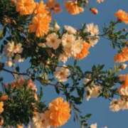 ヒメ日記 2025/07/20 18:02 投稿 新人・結愛(ゆあ) グランドオペラ福岡