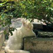 ヒメ日記 2025/07/21 19:02 投稿 新人・結愛(ゆあ) グランドオペラ福岡