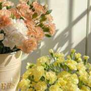 ヒメ日記 2025/07/25 16:51 投稿 新人・結愛(ゆあ) グランドオペラ福岡