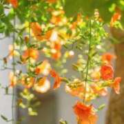 ヒメ日記 2025/07/28 11:41 投稿 新人・結愛(ゆあ) グランドオペラ福岡