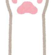 ヒメ日記 2026/04/10 21:02 投稿 ことは セレブクエスト－Iwaki－