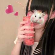 ヒメ日記 2025/07/12 18:05 投稿 ねね 新橋平成女学園