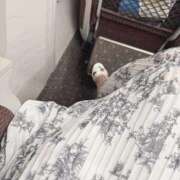 ヒメ日記 2025/04/18 12:35 投稿 千那/ちな〔VIP〕非対応 aQua～アクア～（金津園）