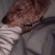 ヒメ日記 2025/04/25 08:13 投稿 千那/ちな〔VIP〕非対応 aQua～アクア～（金津園）