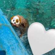 ヒメ日記 2025/08/09 16:25 投稿 千那/ちな〔VIP〕非対応 aQua～アクア～（金津園）