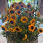 ヒメ日記 2025/08/16 09:05 投稿 千那/ちな〔VIP〕非対応 aQua～アクア～（金津園）