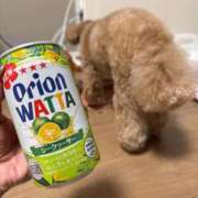 ヒメ日記 2025/08/30 22:45 投稿 千那/ちな〔VIP〕非対応 aQua～アクア～（金津園）