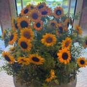 ヒメ日記 2025/09/01 21:15 投稿 千那/ちな〔VIP〕非対応 aQua～アクア～（金津園）