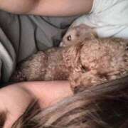 ヒメ日記 2025/09/09 09:34 投稿 千那/ちな〔VIP〕非対応 aQua～アクア～（金津園）