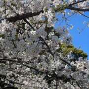 ヒメ日記 2025/04/06 21:30 投稿 みき 素人系イメージSOAP彼女感大宮館