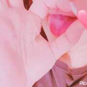 ヒメ日記 2025/09/15 06:11 投稿 みき 水戸ソープランド　水戸スリーナイン(9990)