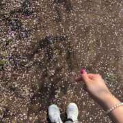 くれあ 【春のお散歩】 DIVAセカンドシーズン