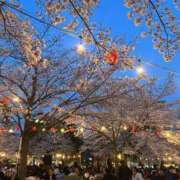 蓮（れん） 18時までいます〜！ NOA（ノア）