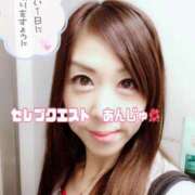 ヒメ日記 2025/03/28 11:55 投稿 あんじゅ セレブクエスト-Nishikawa-