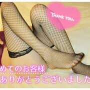 ヒメ日記 2025/04/11 20:38 投稿 あんじゅ セレブクエスト-Nishikawa-